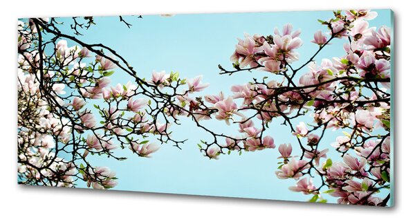 Sticlă pentru bucătărie flori magnolia