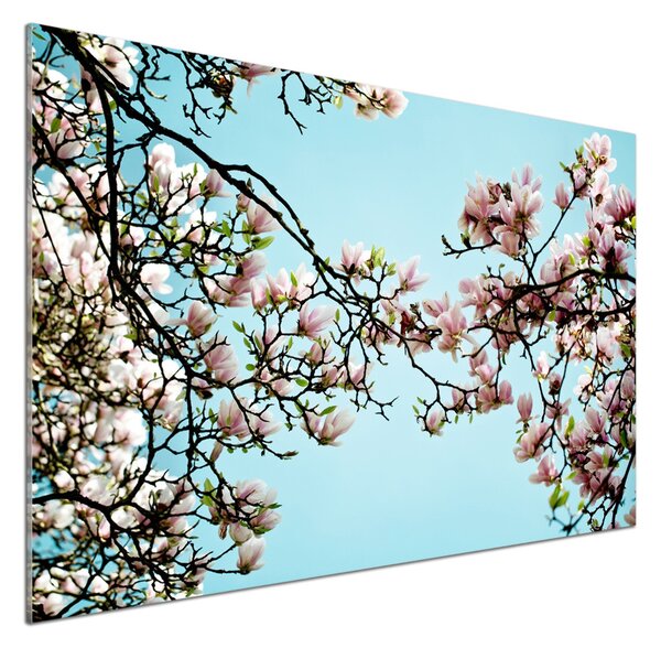 Sticlă pentru bucătărie flori magnolia