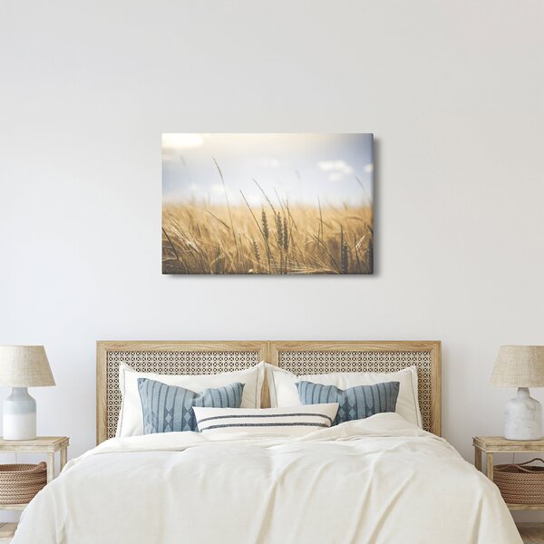 Tablou cu grâne (90x60 cm)