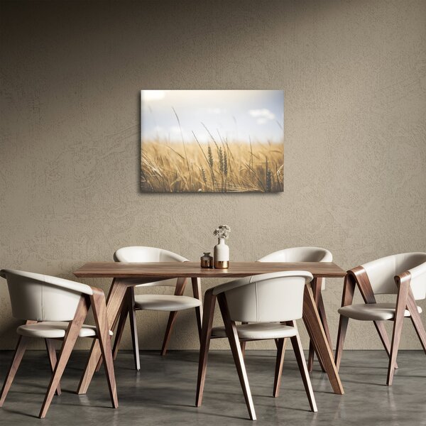 Tablou cu grâne (70x50 cm)