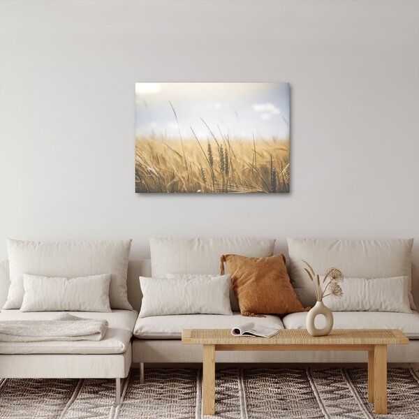 Tablou cu grâne (70x50 cm)