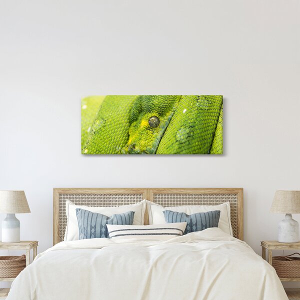 Tablou cu șarpe (120x50 cm)