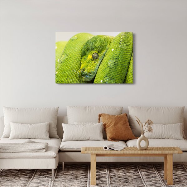 Tablou cu șarpe (90x60 cm)