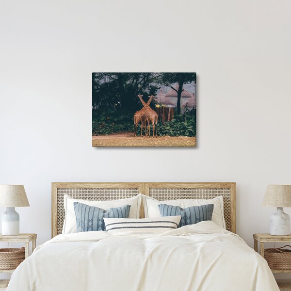 Tablou cu două girafe (70x50 cm)