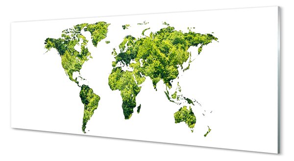 Tablouri acrilice Harta de iarbă verde