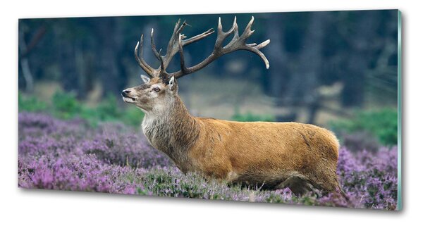 Panou de bucătărie Deer de lavandă