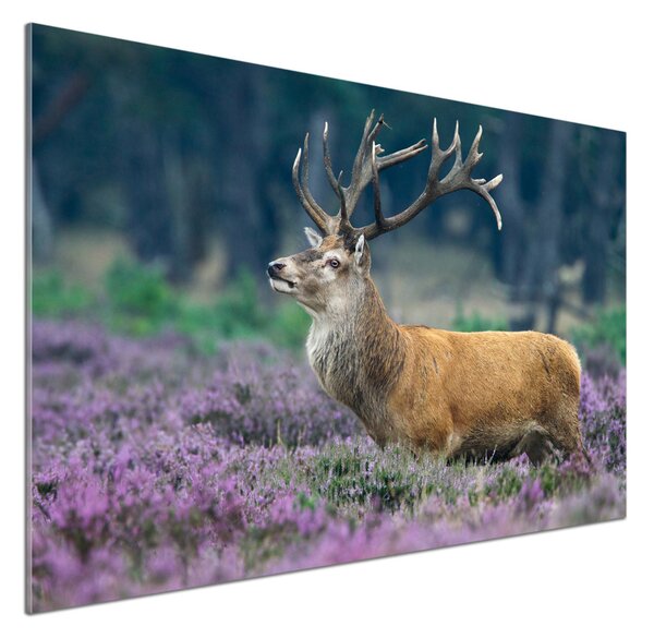 Panou de bucătărie Deer de lavandă