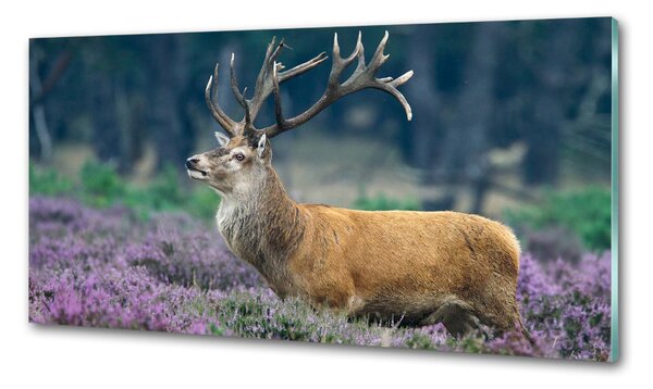 Panou de bucătărie Deer de lavandă