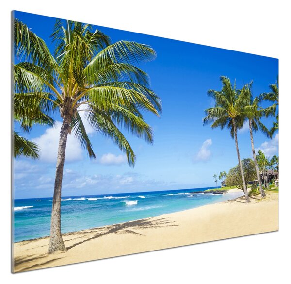 Sticlă pentru bucătărie plaja tropicala