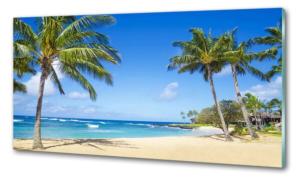 Sticlă pentru bucătărie plaja tropicala