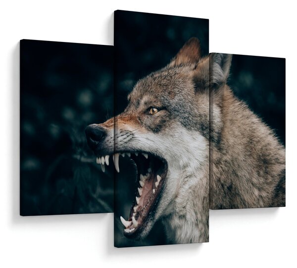 Tablou cu lup (90x60 cm)