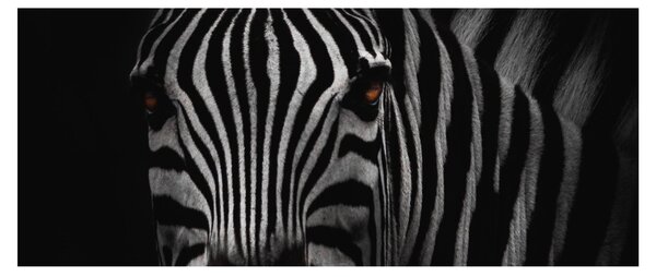 Tablou cu zebră (120x50 cm)