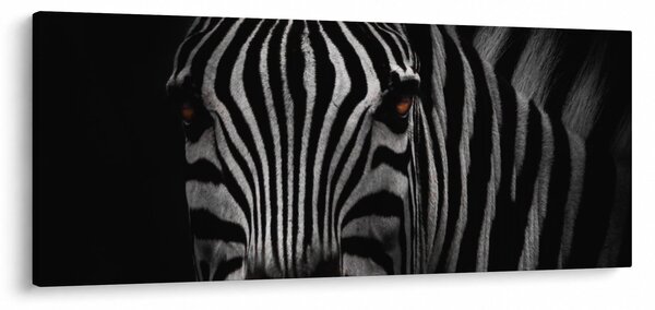 Tablou cu zebră (120x50 cm)