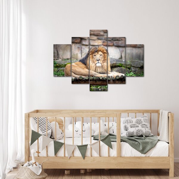 Tablou cu leu (150x105 cm)