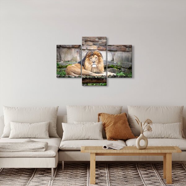 Tablou cu leu (90x60 cm)