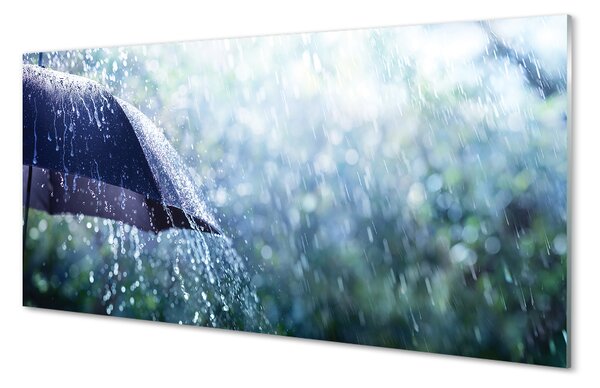 Panouri de sticlă picături de ploaie Umbrella