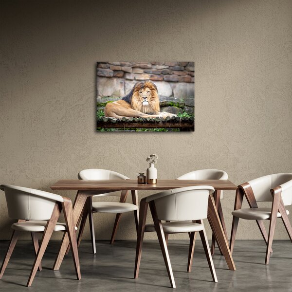 Tablou cu leu (70x50 cm)