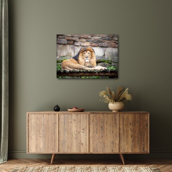 Tablou cu leu (70x50 cm)