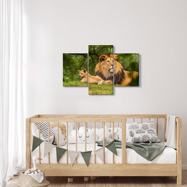 Tablou cu lei (90x60 cm)