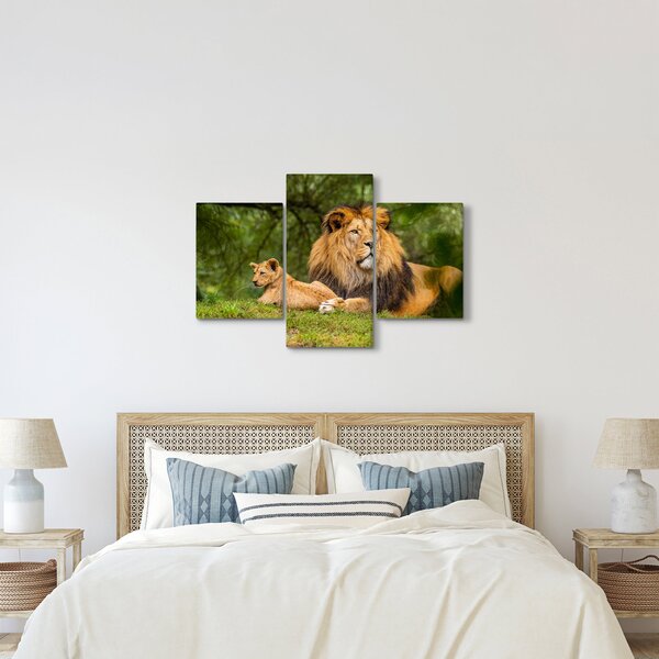 Tablou cu lei (90x60 cm)