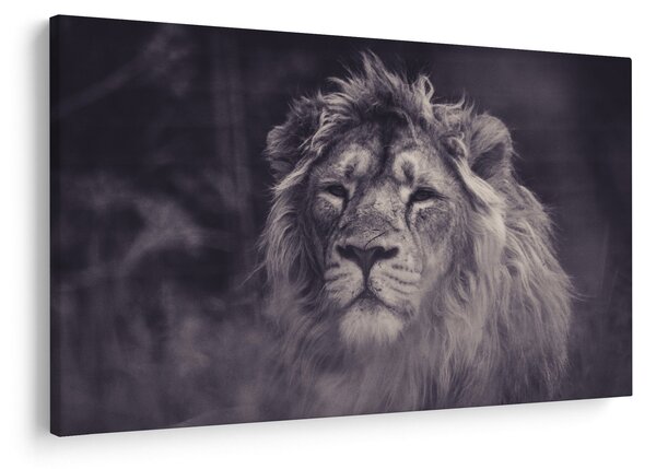 Tablou cu leu (90x60 cm)