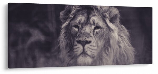 Tablou cu leu (120x50 cm)