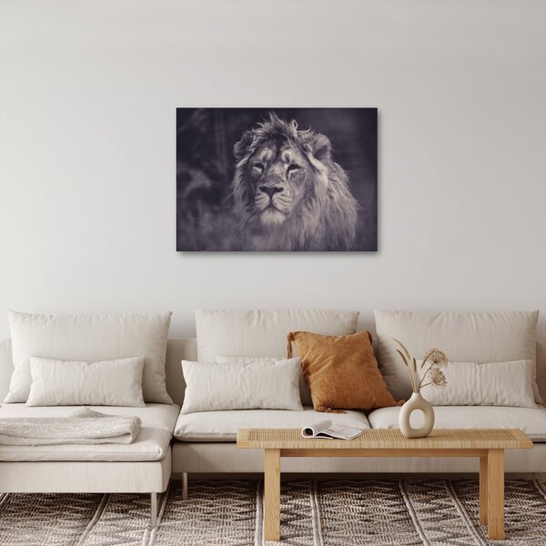 Tablou cu leu (70x50 cm)
