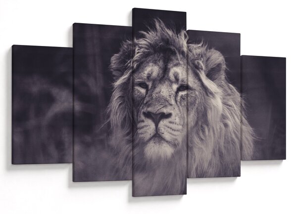 Tablou cu leu (150x105 cm)