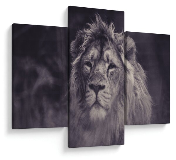 Tablou cu leu (90x60 cm)