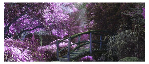 Tablou - Grădină mistică (120x50 cm)