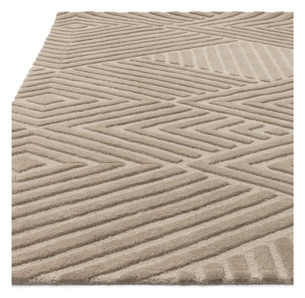 Covor maro deschis din lână 120x170 cm Hague – Asiatic Carpets
