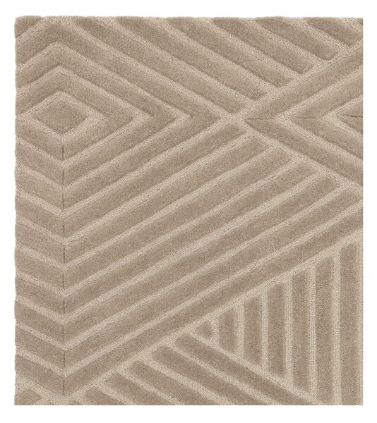 Covor maro deschis din lână 120x170 cm Hague – Asiatic Carpets
