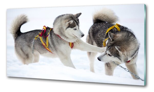 Sticlă pentru bucătărie iarna Husky