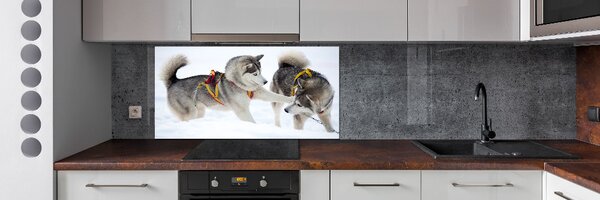Sticlă pentru bucătărie iarna Husky