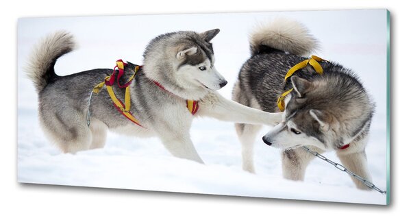 Sticlă pentru bucătărie iarna Husky
