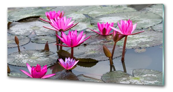 Panou perete bucătărie floare de lotus
