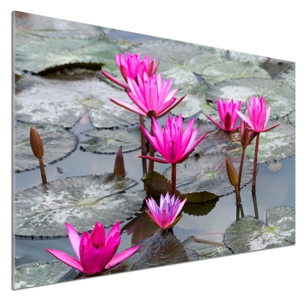 Panou perete bucătărie floare de lotus