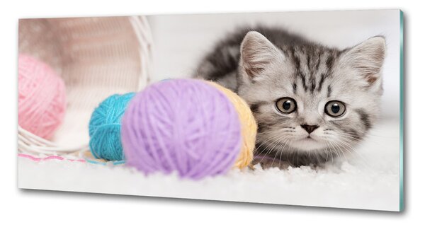 Sticlă pentru bucătărie Cat cu motkami