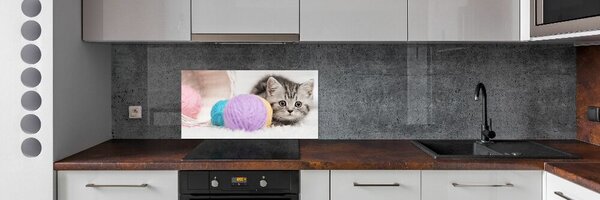 Sticlă pentru bucătărie Cat cu motkami
