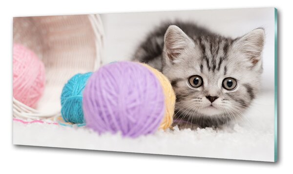 Sticlă pentru bucătărie Cat cu motkami
