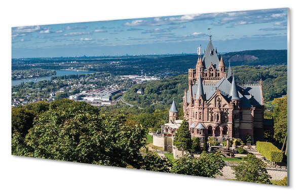 Panouri de sticlă Germania Panorama a castelului orașului