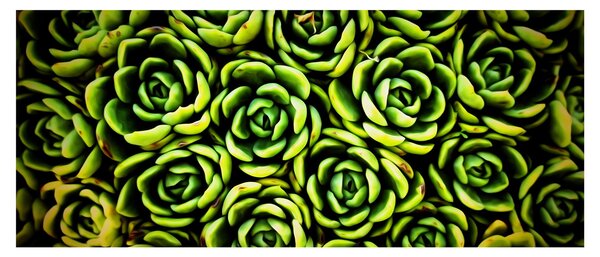 Tablou cu flori de piatră (120x50 cm)
