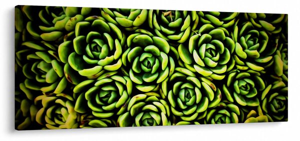 Tablou cu flori de piatră (120x50 cm)