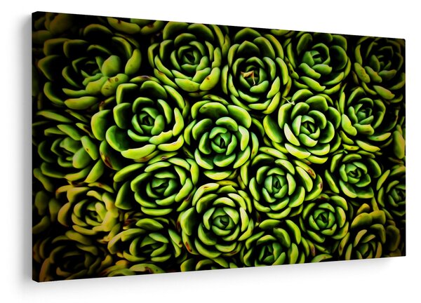 Tablou cu flori de piatră (90x60 cm)