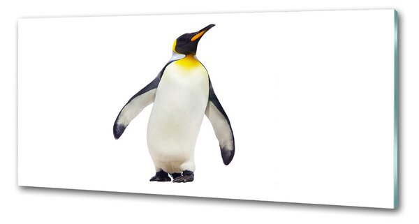 Panou perete bucătărie Pinguin