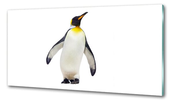 Panou perete bucătărie Pinguin