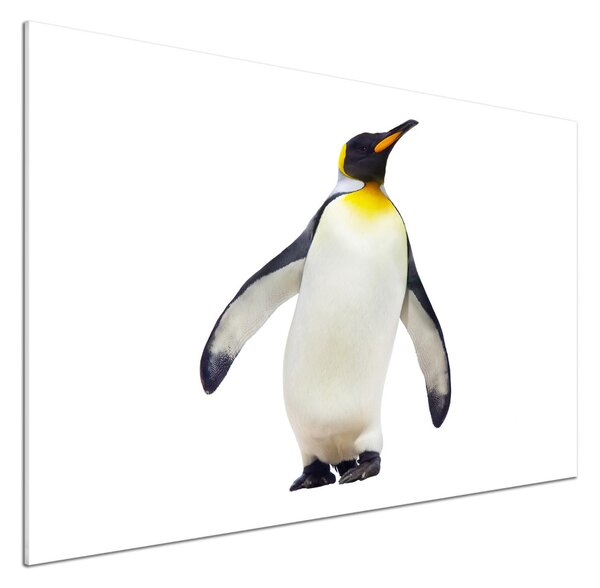 Panou perete bucătărie Pinguin