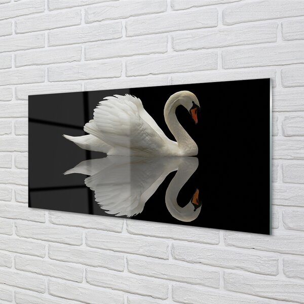 Panouri de sticlă Swan în noapte