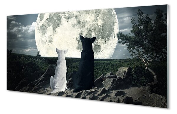 Panouri de sticlă pădure Lupii luna