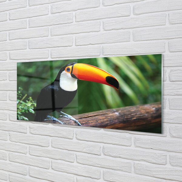 Panouri de sticlă Toucan pe o ramură